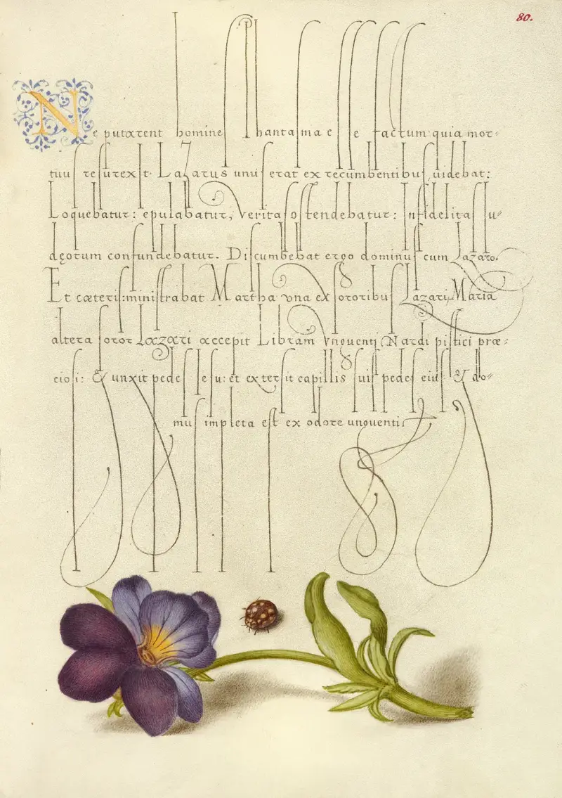 Nyckelpiga och styvmorsviol av Joris Hoefnagel