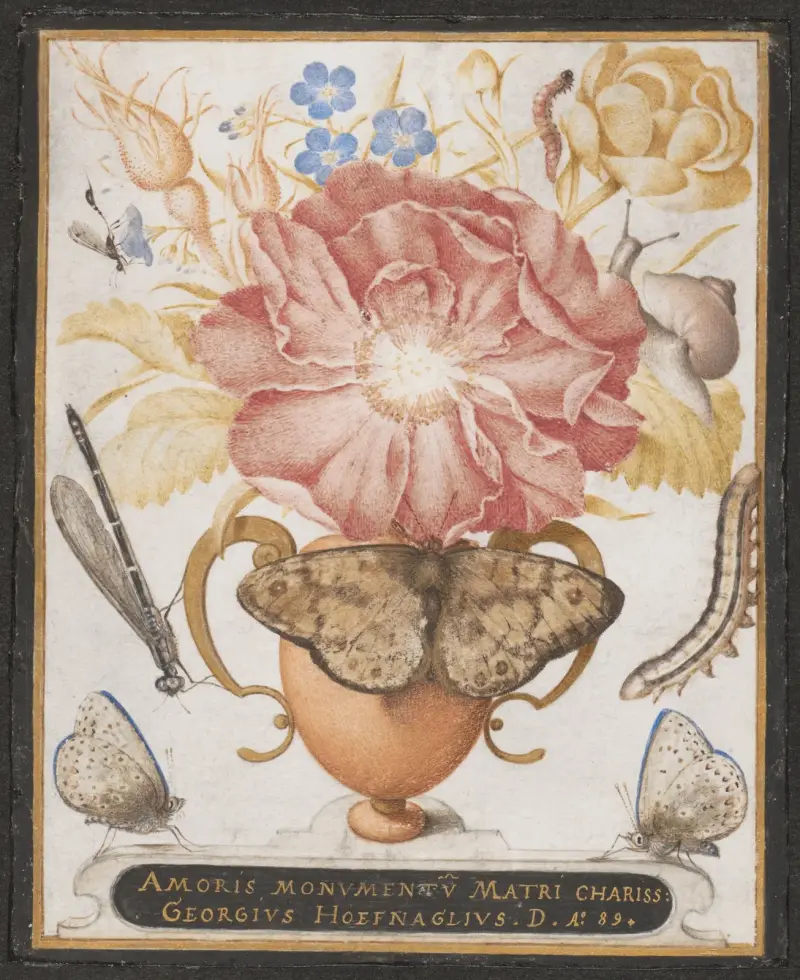 Stilleben med blommor, snäcka och insekter av Joris Hoefnagel