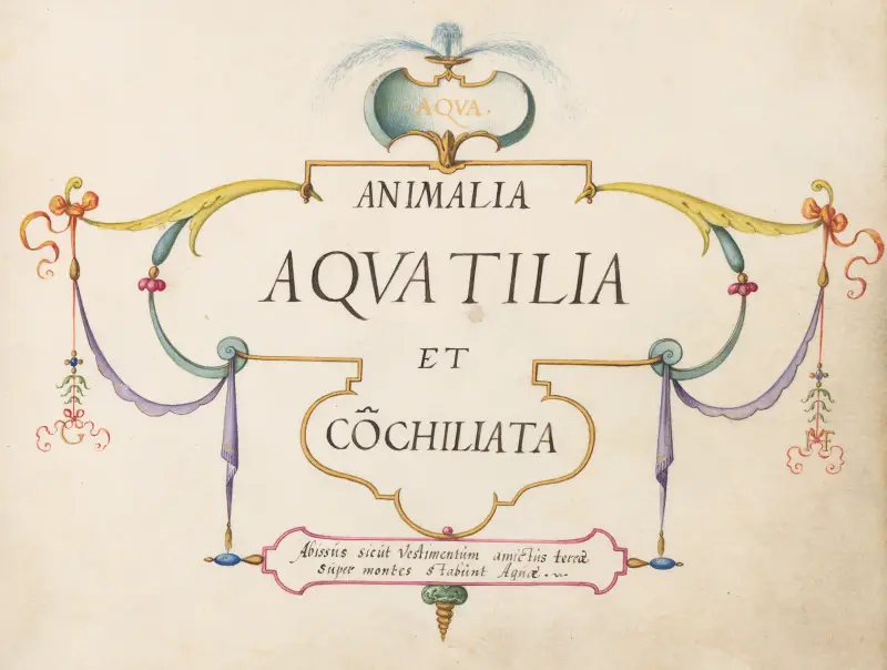 Title Page – Animalia Aqvatilia et Cochiliata (Aqva) av Joris Hoefnagel
