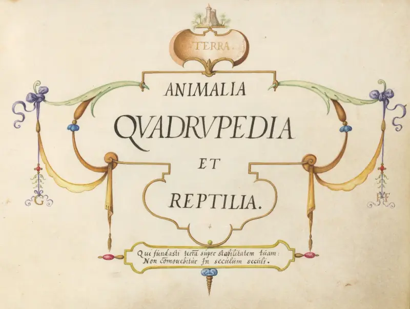 Title Page – Animalia Qvadrvpedia et Reptilia (Terra) av Joris Hoefnagel