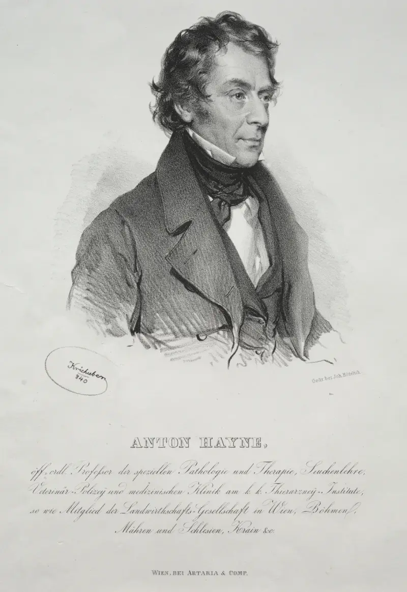 Porträt von Dr. Anton Hayne von Josef Kriehuber