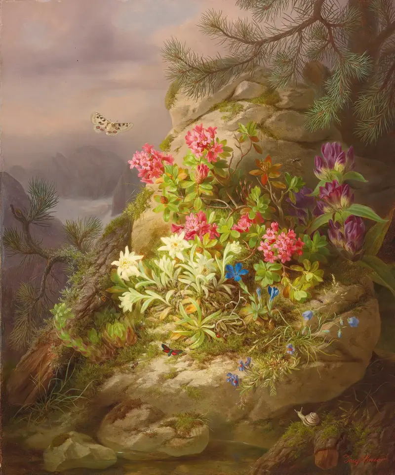 Martwa natura ze ślimakiem, Josef Lauer