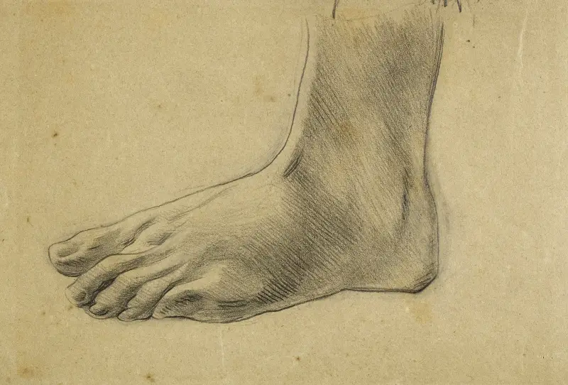 Anatomisk studie. Vänster fot, plant av Arthur-Joseph Gueniot