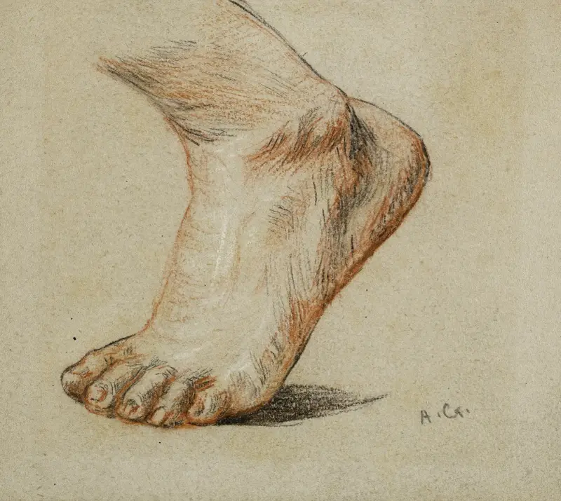 Anatomisk studie. Vänster fot, stödd på tån av Arthur-Joseph Gueniot