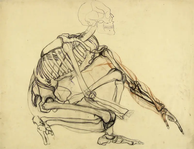 Etude anatomique. Squelette d’homme accroupi, vers la droite av Arthur-Joseph Gueniot