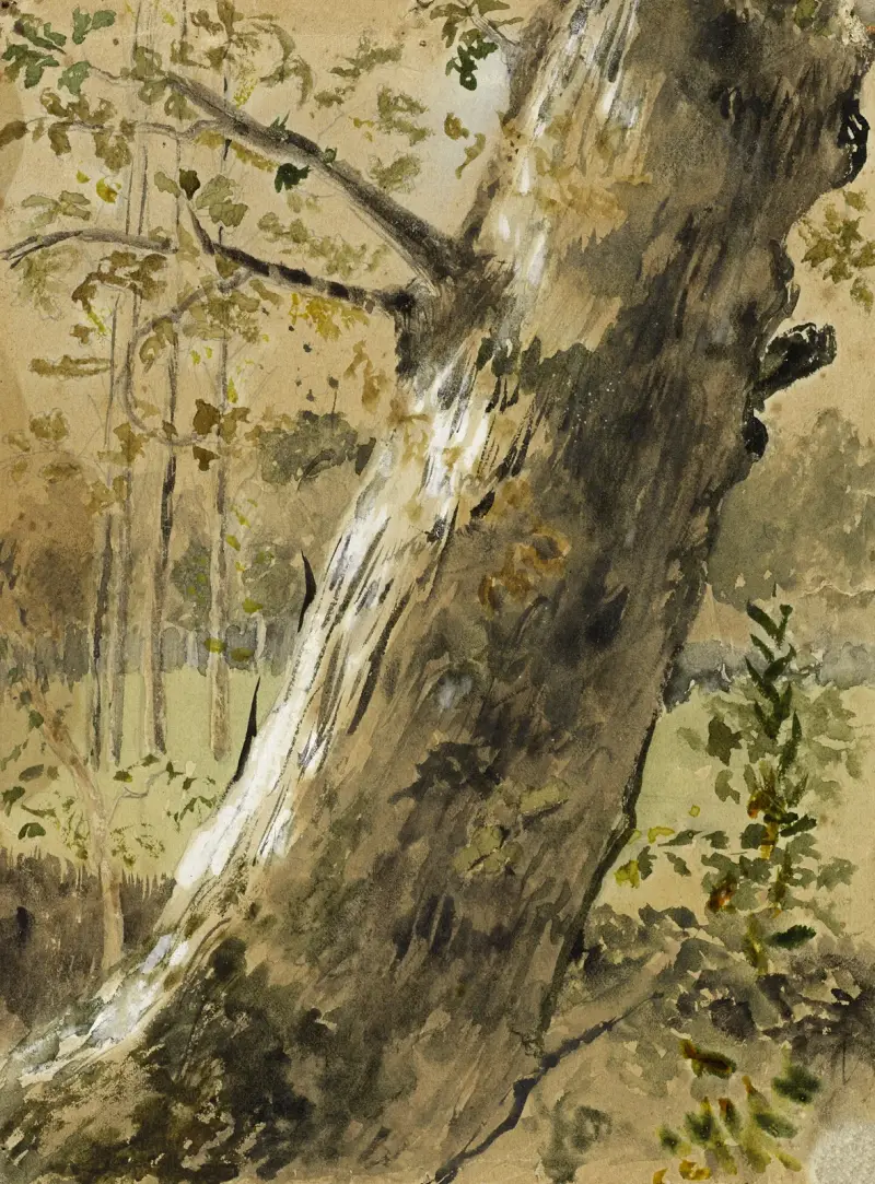 Etude de paysage en Vendée. La Roche-sur-Yon. Tronc d’arbre av Arthur-Joseph Gueniot