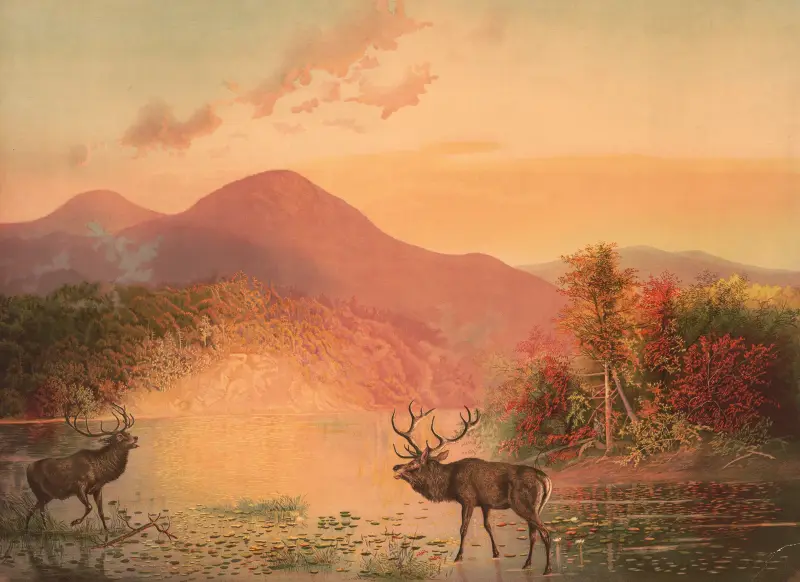 Deers retreat av Joseph Hoover