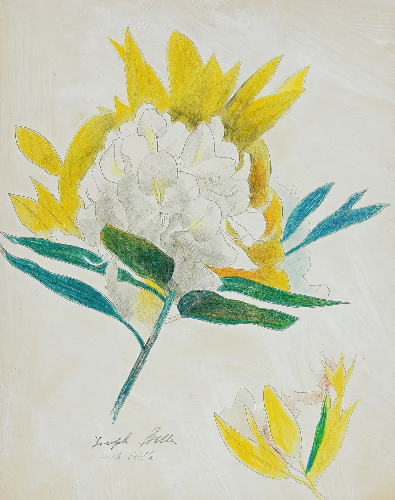 Kaktusblomma, Joseph Stella