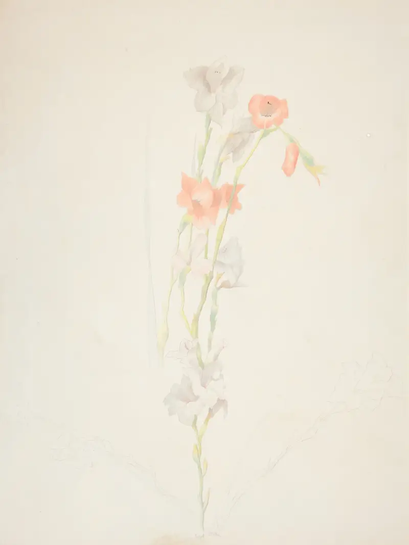 Blommor av Joseph Stella