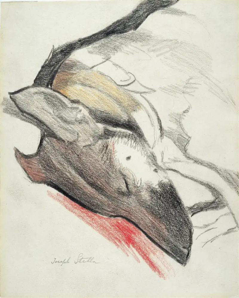 Spící pes, Joseph Stella