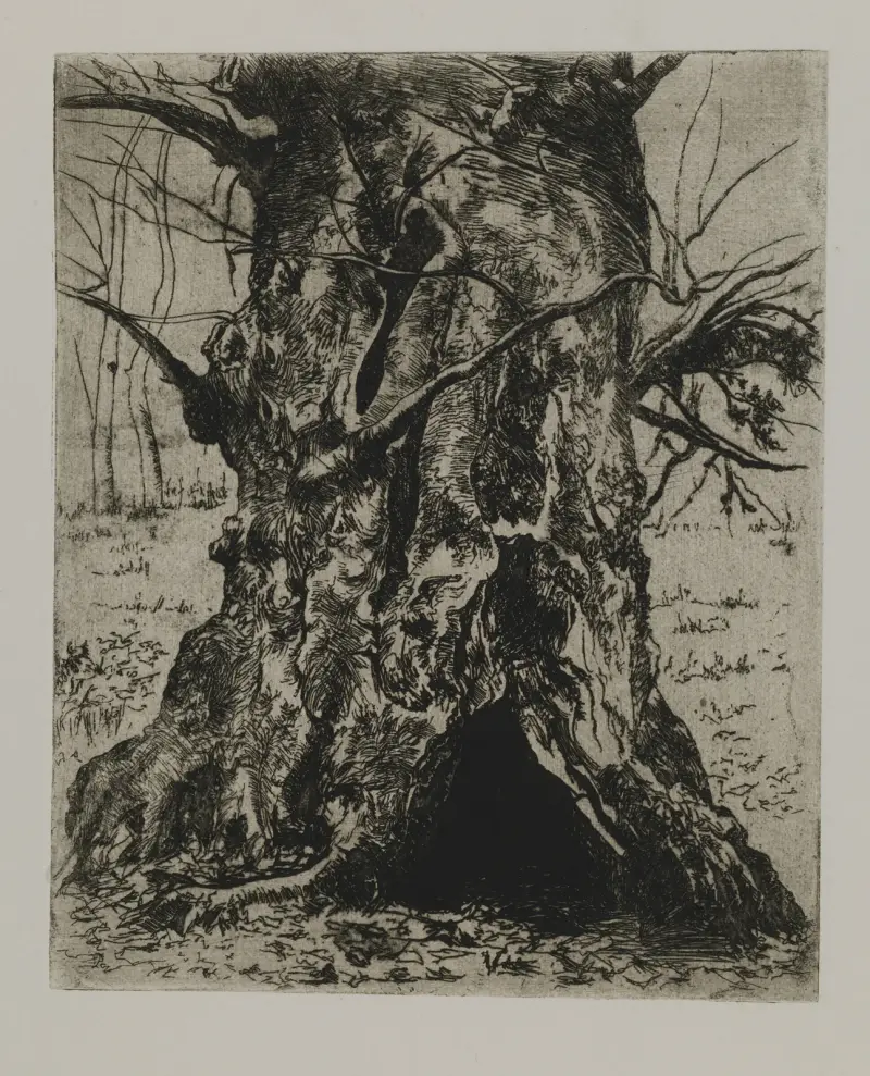Kmen stromu, Joseph Stella