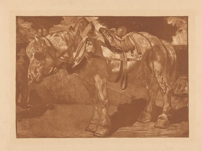 Trekpaard av Johannes Josephus Aarts