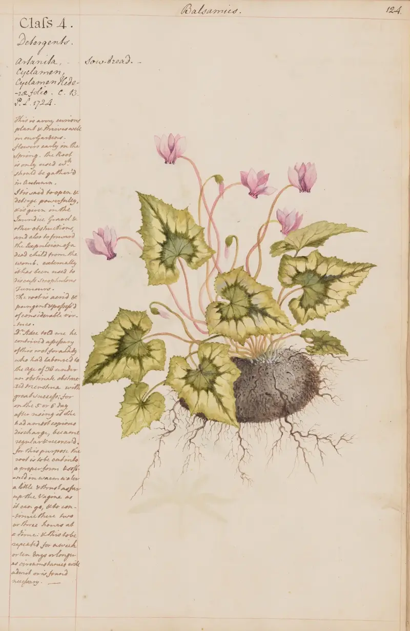 Svinbröd von Joshua Webster