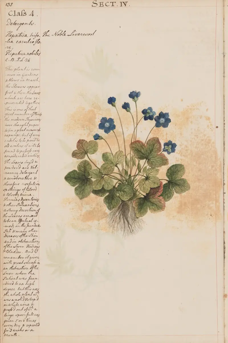 The Noble Liverwort av Joshua Webster