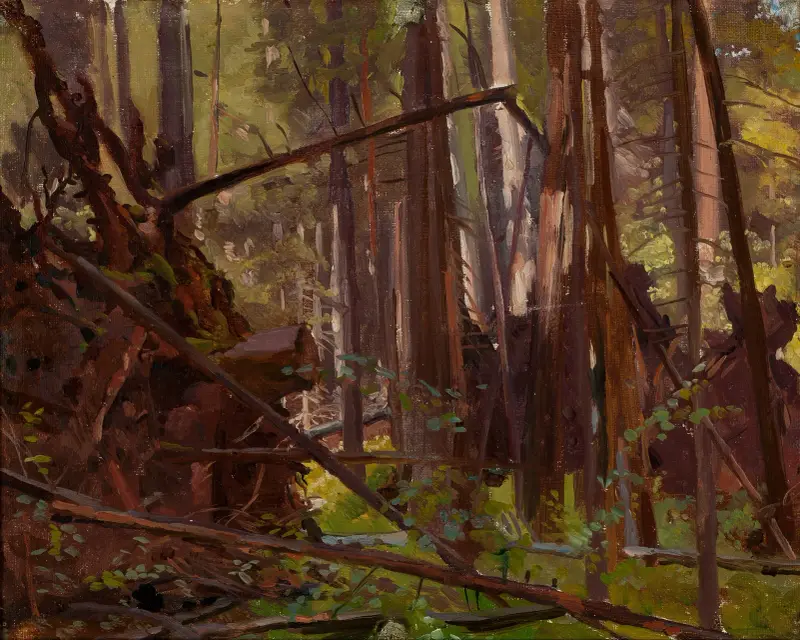 Landschaft; Motiv aus Białowieża von Jozef Chelmonski