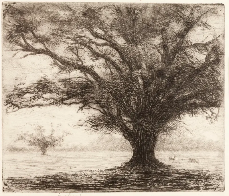 A tree in the Hampton Court Park near London av Józef Pankiewicz