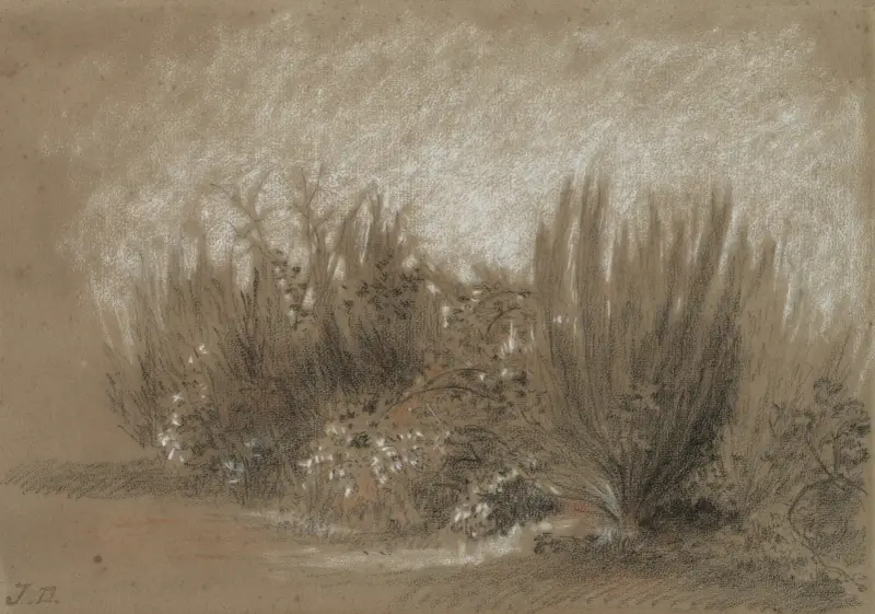 Ginster a ostružiny, Jules Dupré