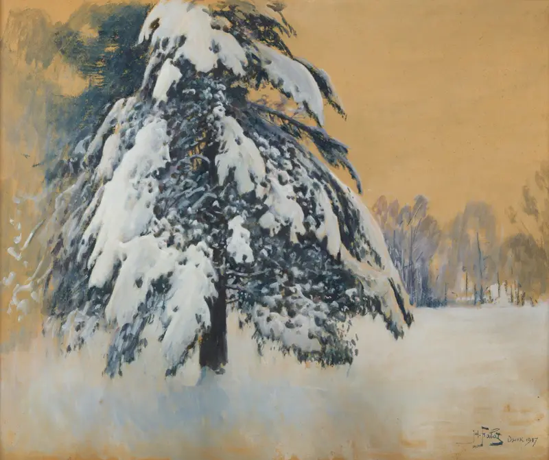 Cap of snow av Julian Falat