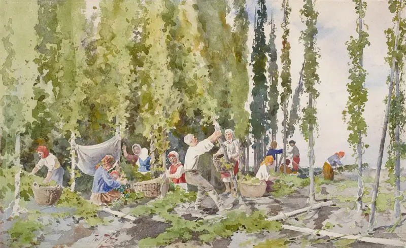 Hopfenpflücken von Julian Falat