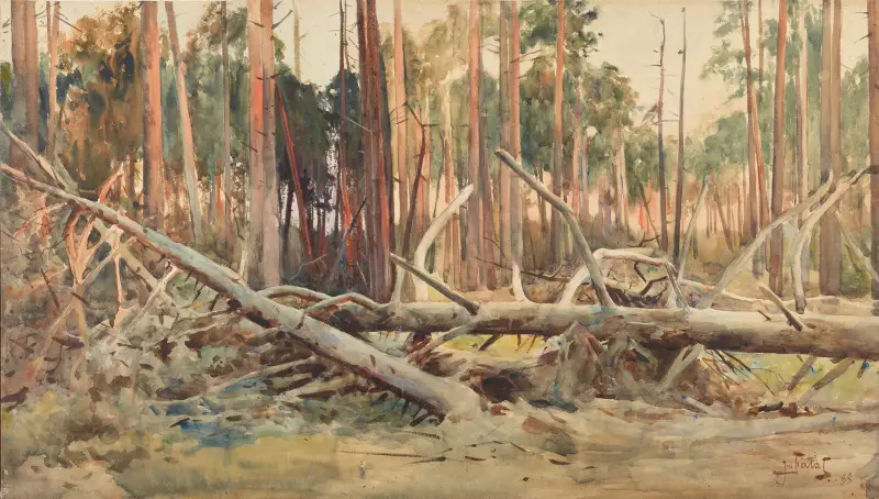 Tallskog av Julian Falat