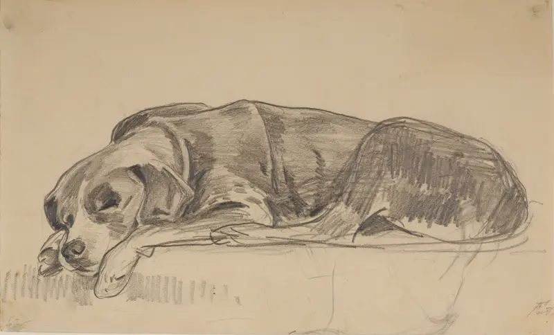 Sovande hund av Julian Falat