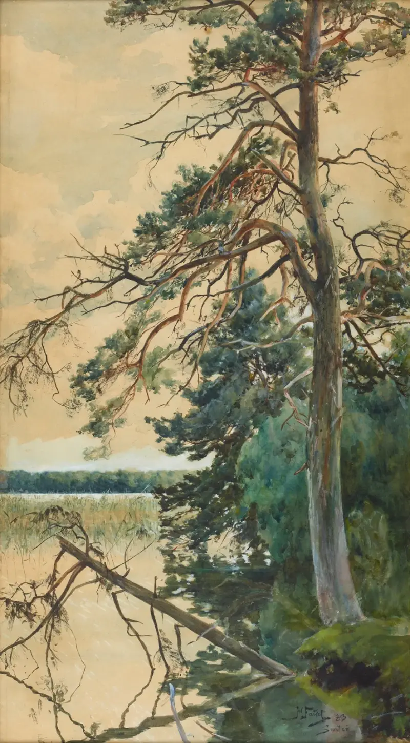 Świteź av Julian Falat