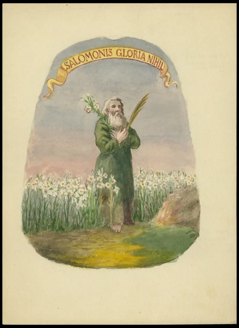 Salomonis gloria nihil av Juliusz Makarewicz