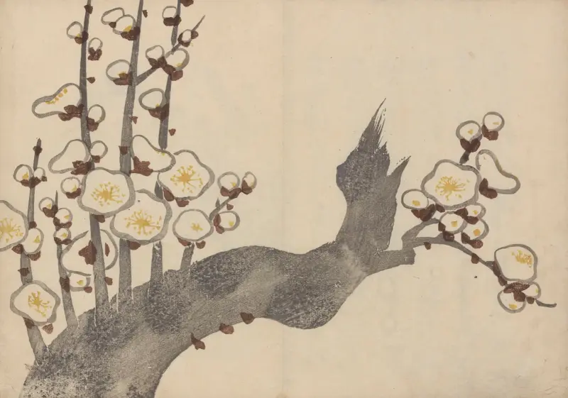 Kōrin gafu – Hōchū Pl. 01 von Ogata Kōrin