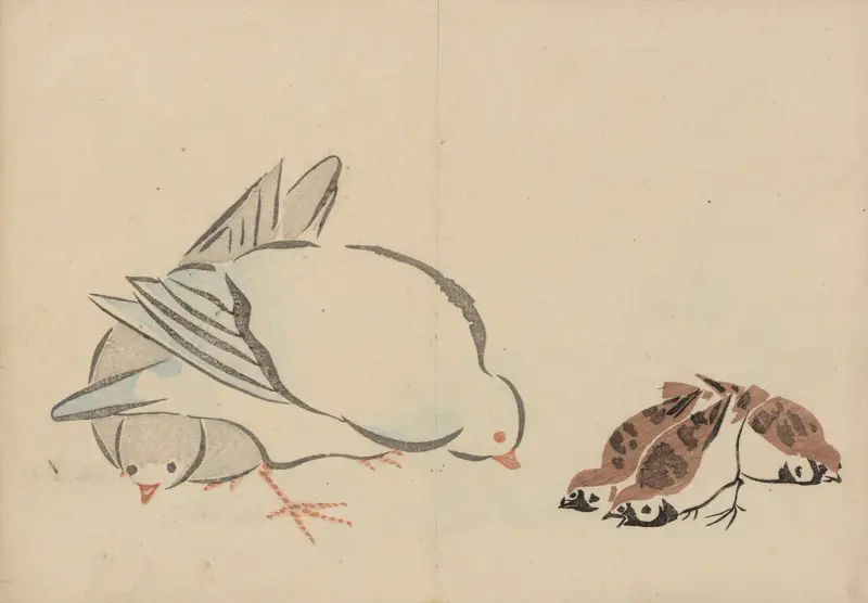 Kōrin gafu – Hōchū Pl.05 av Ogata Kōrin