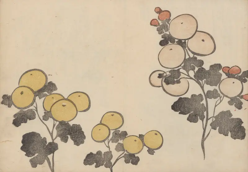 Kōrin gafu – Hōchū Pl.16 av Ogata Kōrin