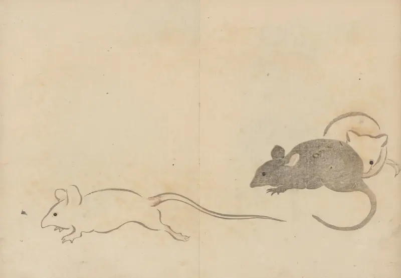 Kōrin gafu – Hōchū Pl.24 av Ogata Kōrin