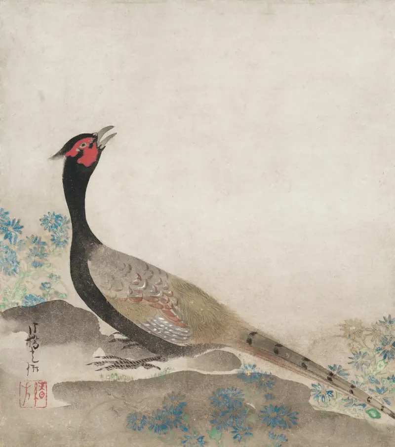 Fasan von Ogata Kōrin