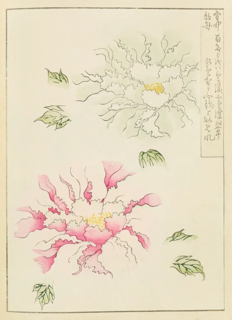 Shin-Bijutsukai Pl.012 av Furuya Kōrin