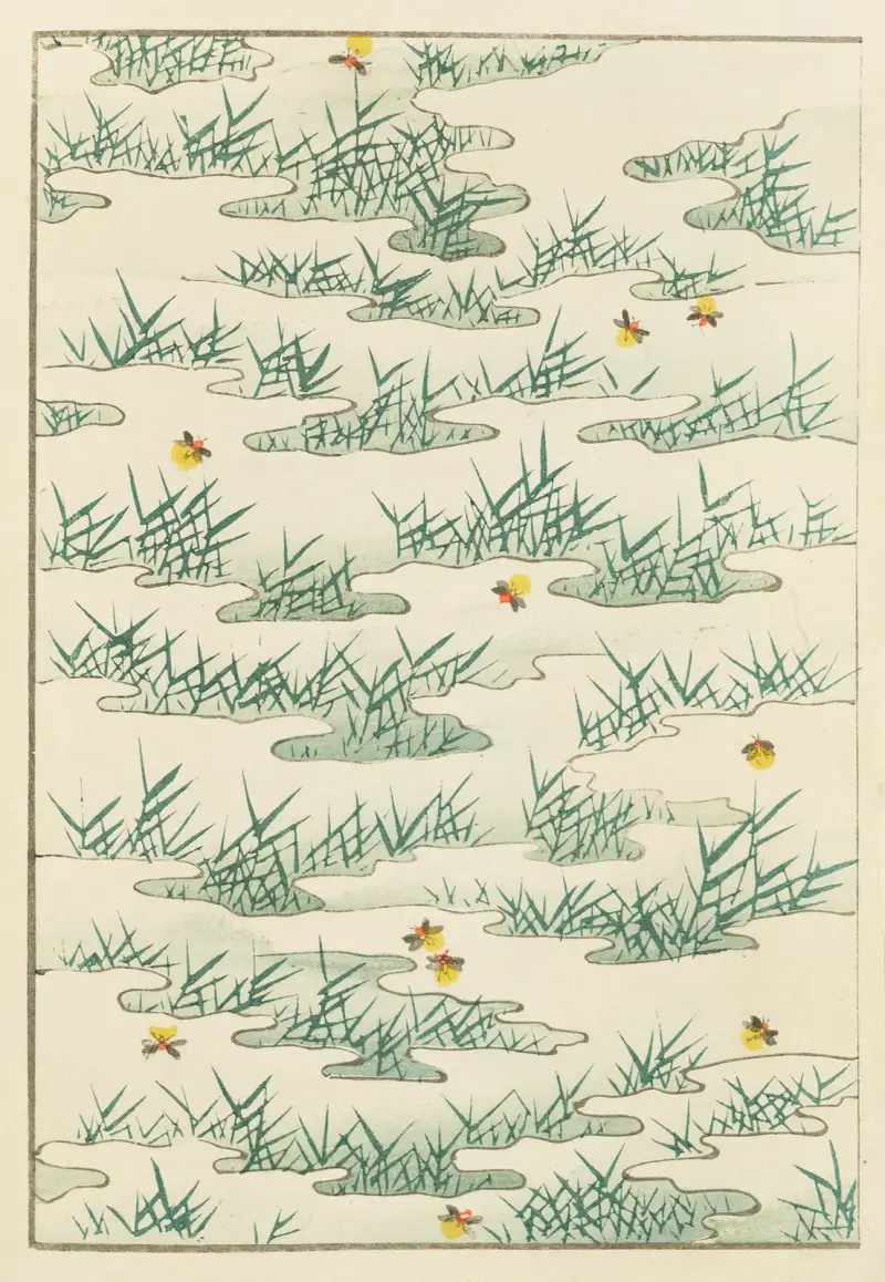 Shin-Bijutsukai Pl.018 av Furuya Kōrin