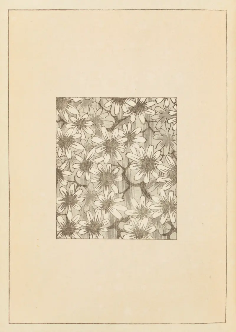 Shin-Bijutsukai Pl.054 av Furuya Kōrin