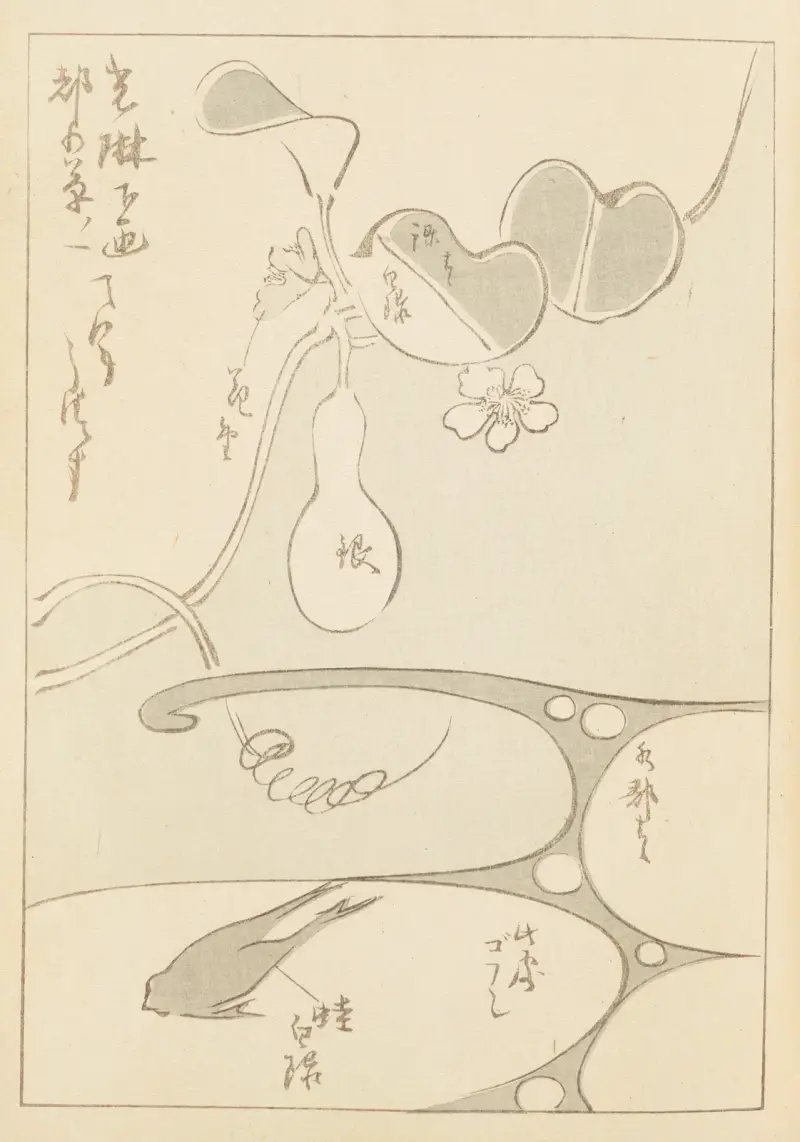 Shin-Bijutsukai Pl.062 av Furuya Kōrin