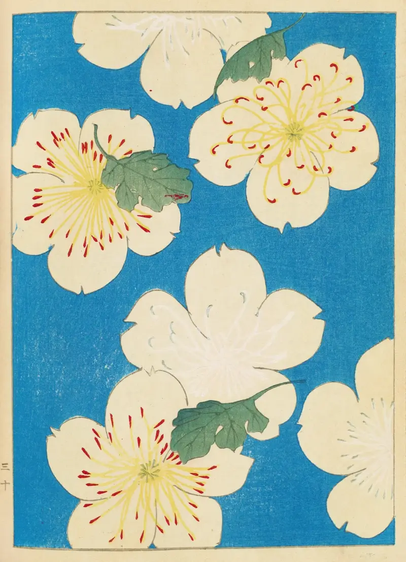 Shin-Bijutsukai Pl.082 av Furuya Kōrin