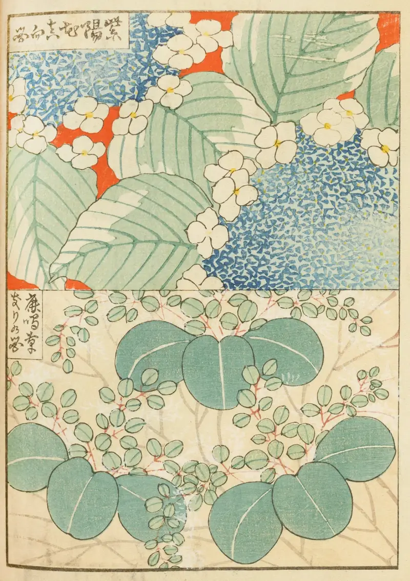 Shin-Bijutsukai pl. 156 av Furuya Kōrin