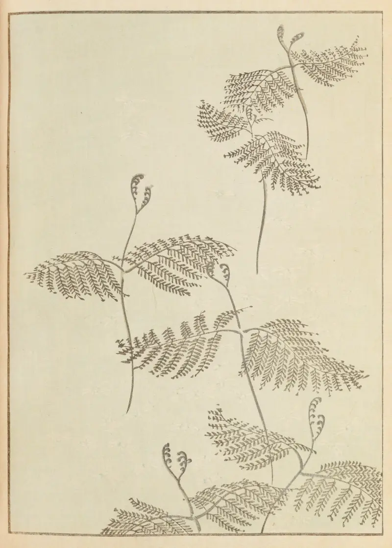 Shin-Bijutsukai Pl.230 av Furuya Kōrin