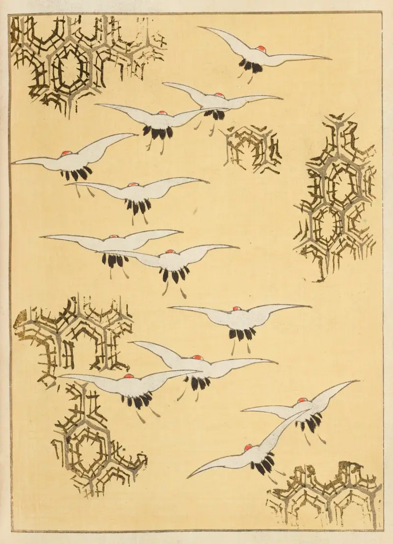 Shin-Bijutsukai Pl.238 av Furuya Kōrin