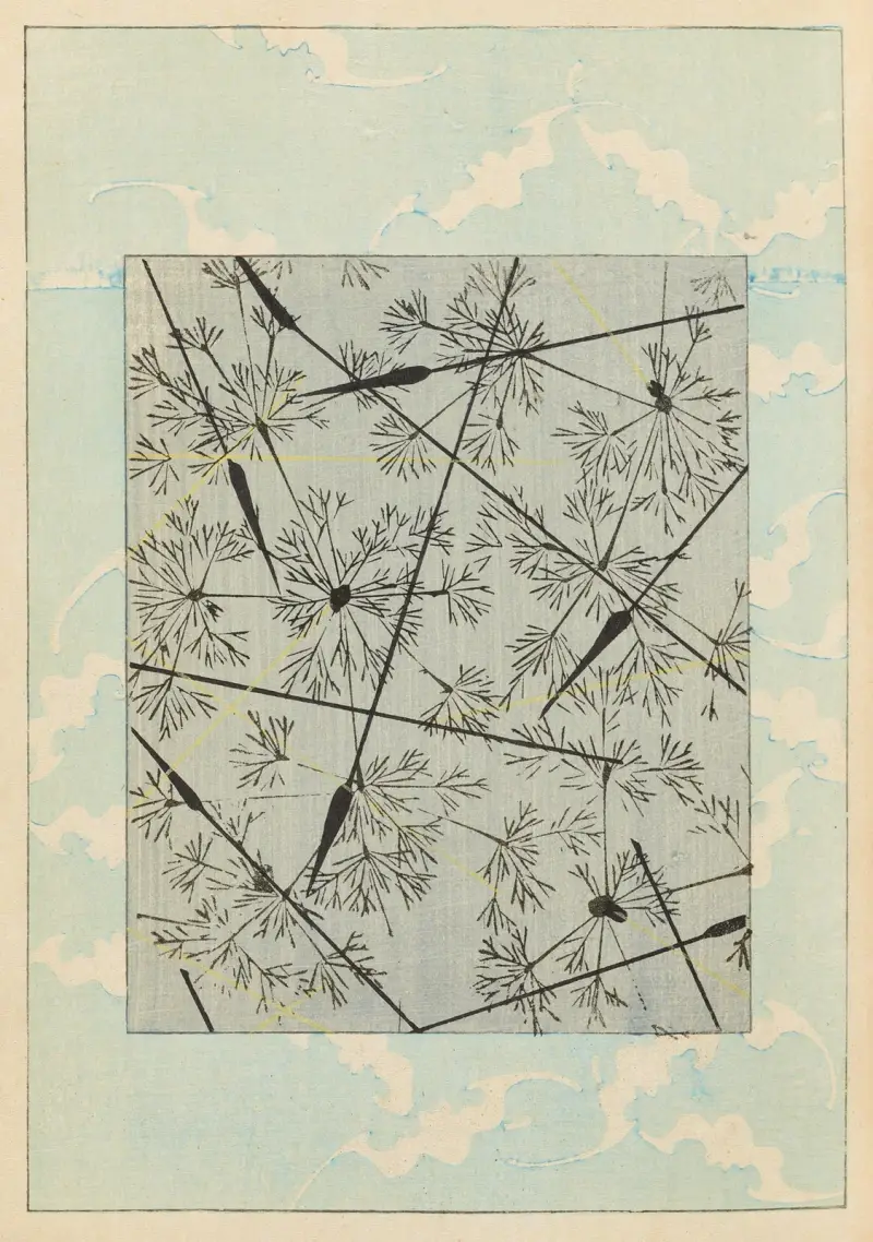 Shin-Bijutsukai Pl.325 av Furuya Kōrin