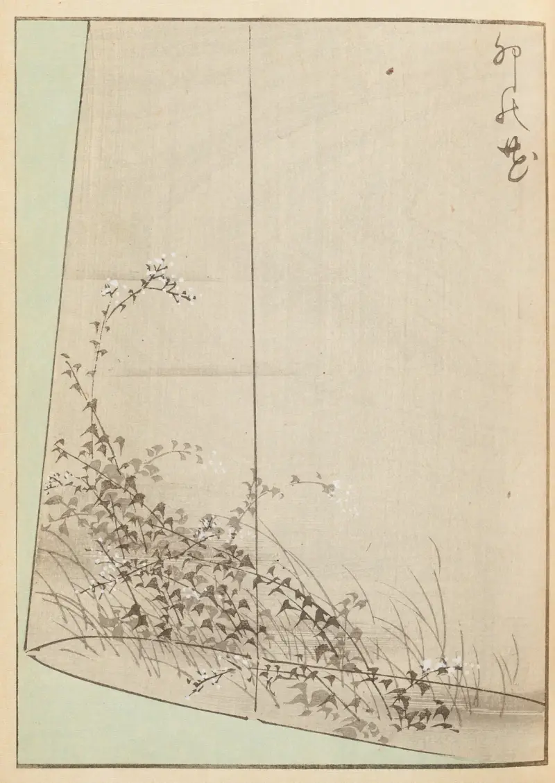Shin-Bijutsukai Taf. 341 von Furuya Kōrin