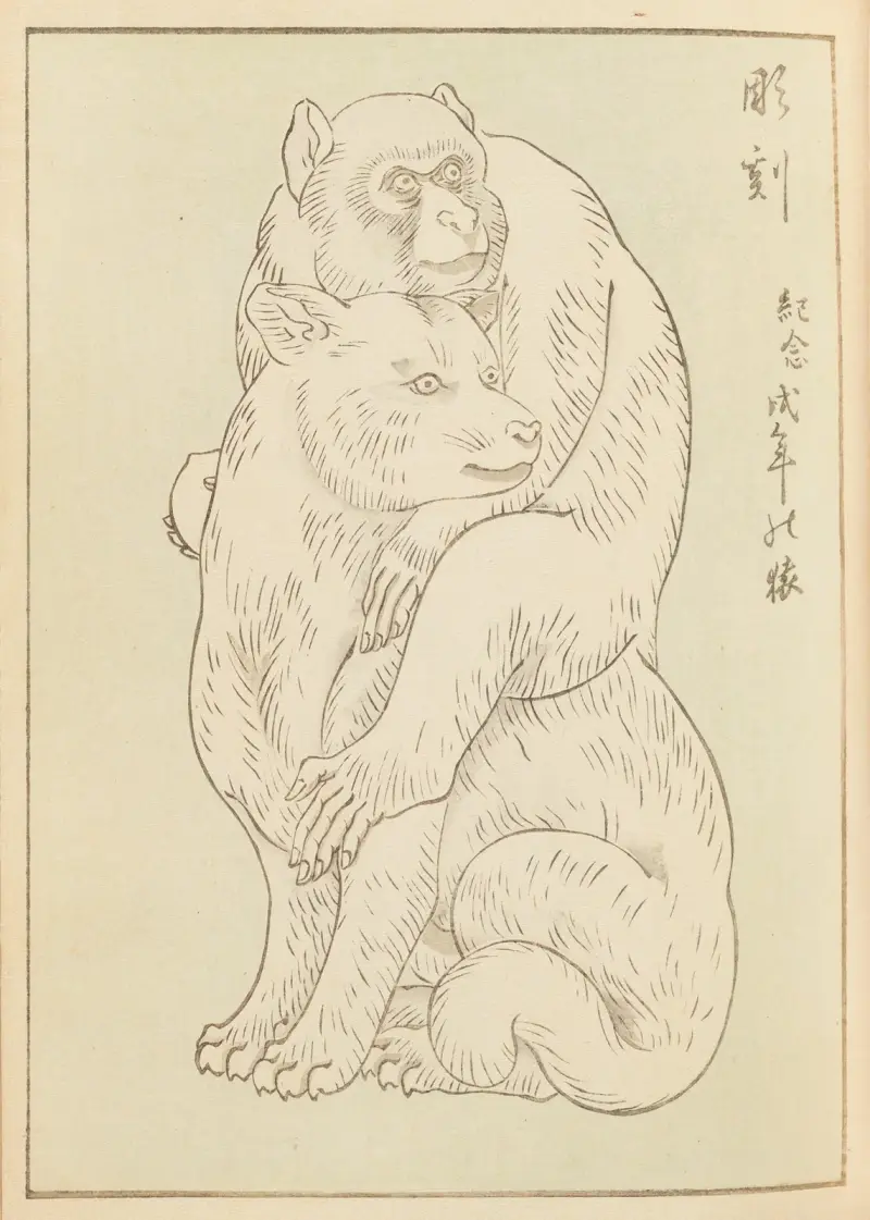 Shin-Bijutsukai Pl.345 av Furuya Kōrin