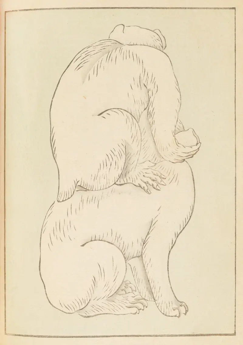 Shin-Bijutsukai Pl.346 av Furuya Kōrin