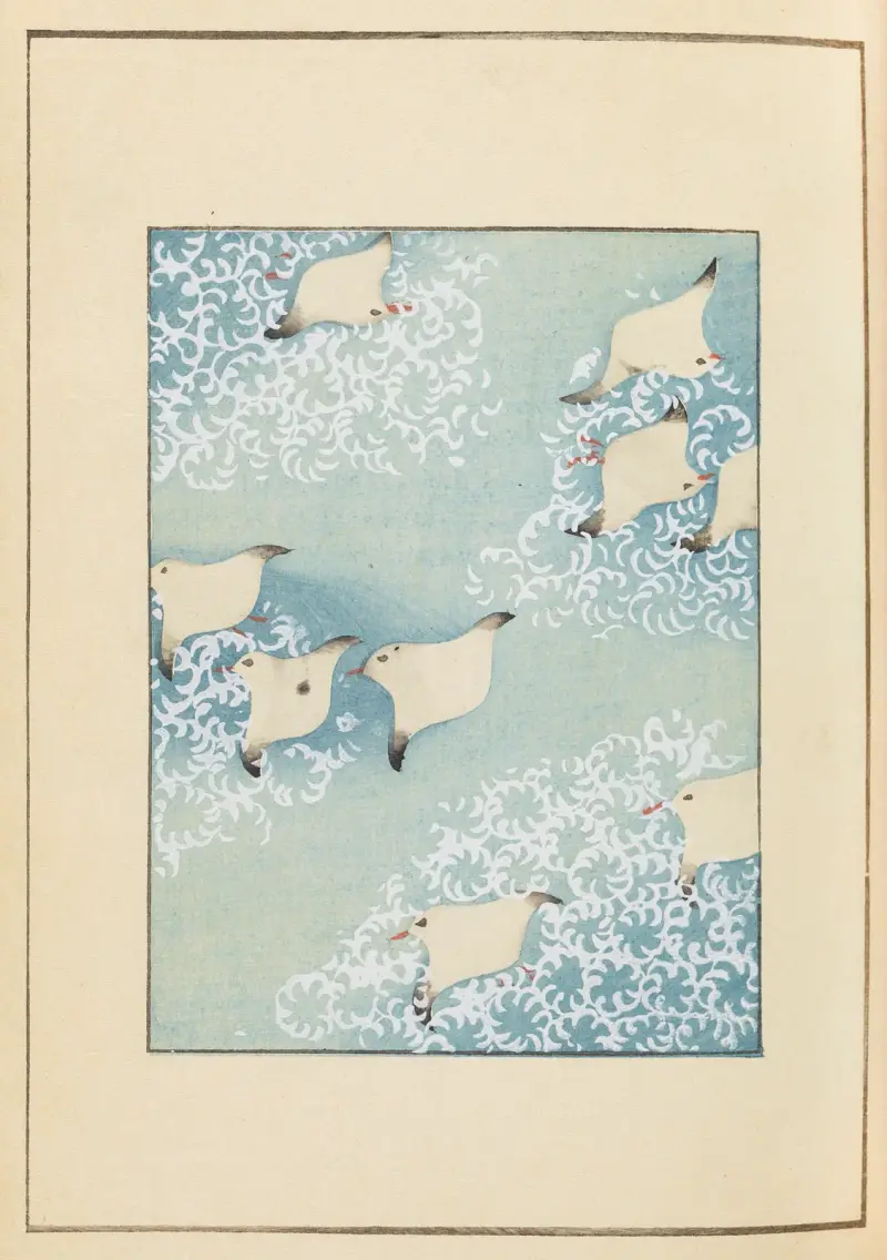 Shin-Bijutsukai Pl.359 av Furuya Kōrin