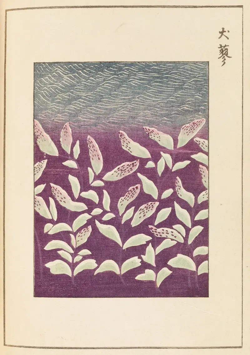 Shin-Bijutsukai Pl.360 av Furuya Kōrin