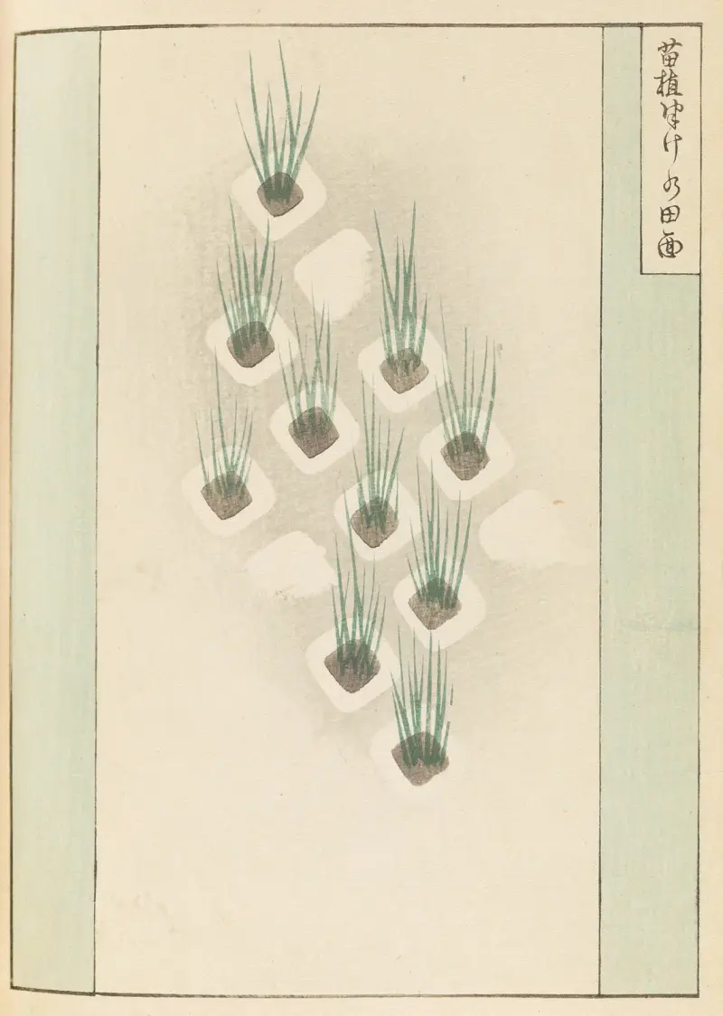 Shin-Bijutsukai Pl.370 av Furuya Kōrin