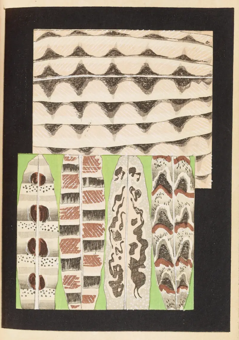 Shin-Bijutsukai Pl.398 av Furuya Kōrin