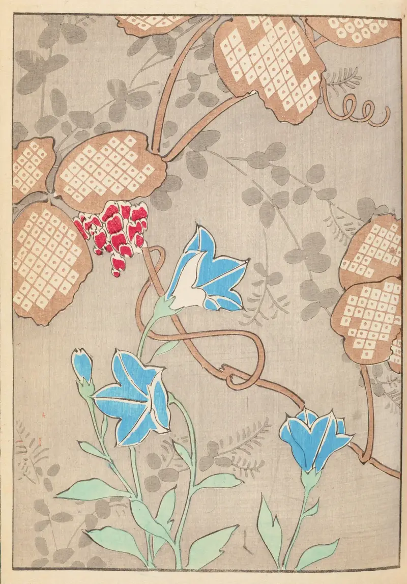 Shin-Bijutsukai Pl.399 av Furuya Kōrin