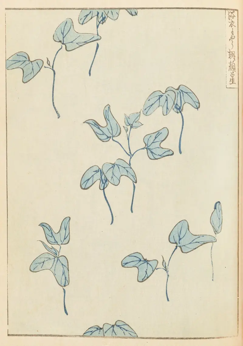 Shin-Bijutsukai Pl.437 av Furuya Kōrin